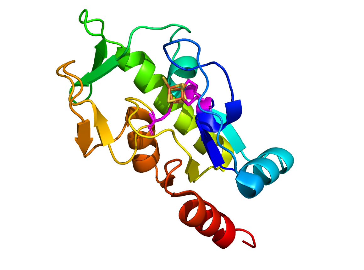 Structure classification of the proteins from Salmonella enterica pangenome revealed novel potential pathogenicity islands