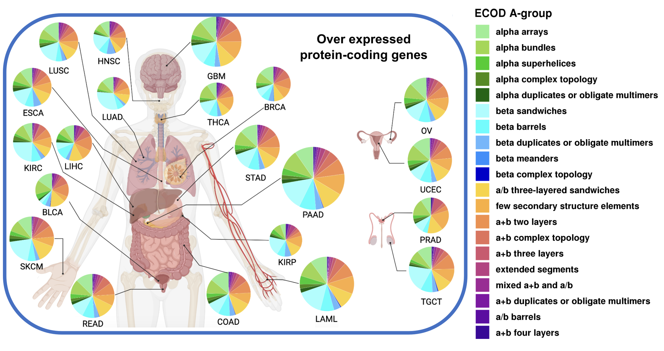 Pan-cancer structurome reveals overrepresentation of beta sandwiches and underrepresentation of alpha helical domains