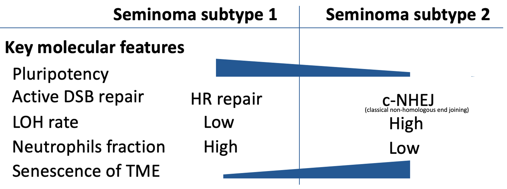 Integrated Molecular Analysis Reveals 2 Distinct Subtypes of Pure Seminoma of the Testis